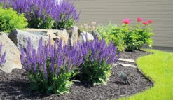 Gartenleuchte Tåkeskinn Gartenstrahler Anthrazit GU10 IP65 6 Gartenleuchte Tåkeskinn Gartenstrahler Anthrazit GU10 IP65 -Lampen Förderung 36432 1 f508765f adc0 47cb a63a cbd569c269ec