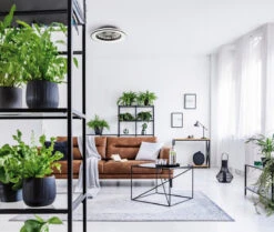 Deckenleuchte Havbris Mit Ventilator LED CCT: Einstellbare Farbtemperatur Und Luftstrom Für Perfekte Raumbeleuchtung 26 Deckenleuchte Havbris Mit Ventilator LED CCT: Einstellbare Farbtemperatur Und Luftstrom Für Perfekte Raumbeleuchtung -Lampen Förderung 38033 2 69f28567 e4bb 4955 8ead 6ba94bc5eb1b